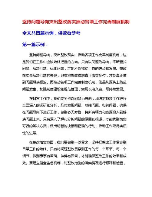 坚持问题导向突出整改落实推动各项工作完善制度机制