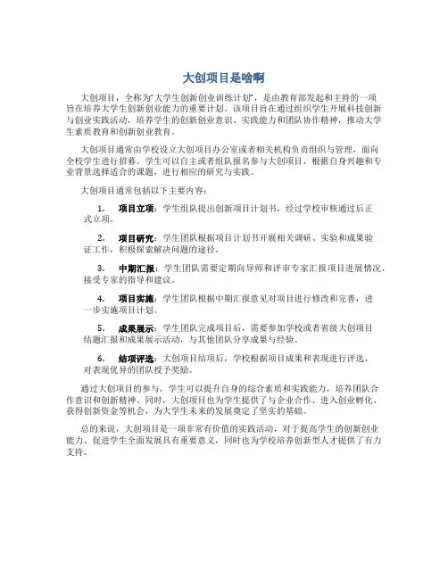 大创项目是啥啊