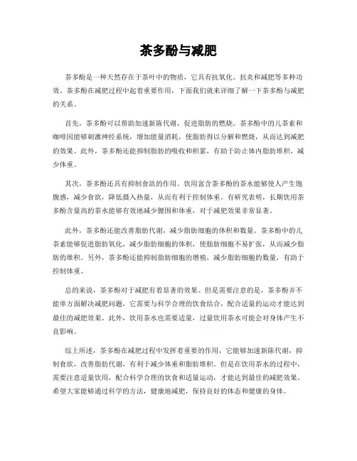 茶多酚与减肥