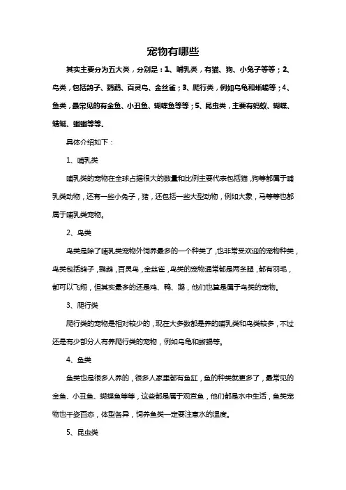 宠物有哪些