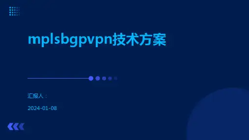 mplsbgpvpn技术方案