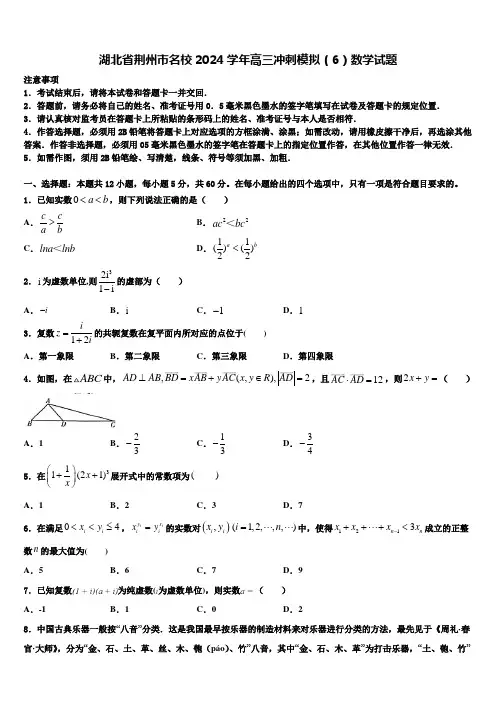 湖北省荆州市名校2024学年高三冲刺模拟(6)数学试题