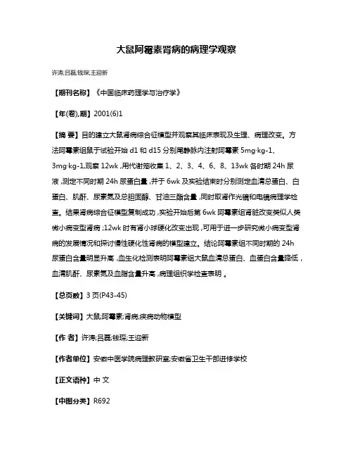 大鼠阿霉素肾病的病理学观察