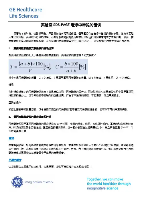 实验室 SDS-PAGE 电泳中常犯的错误