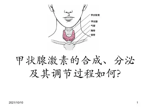 甲状腺激素的合成【拓展用】