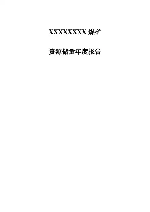 XX煤矿储量年度测量报告