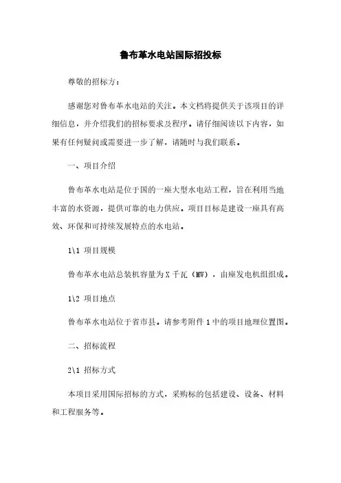 鲁布革水电站国际招投标