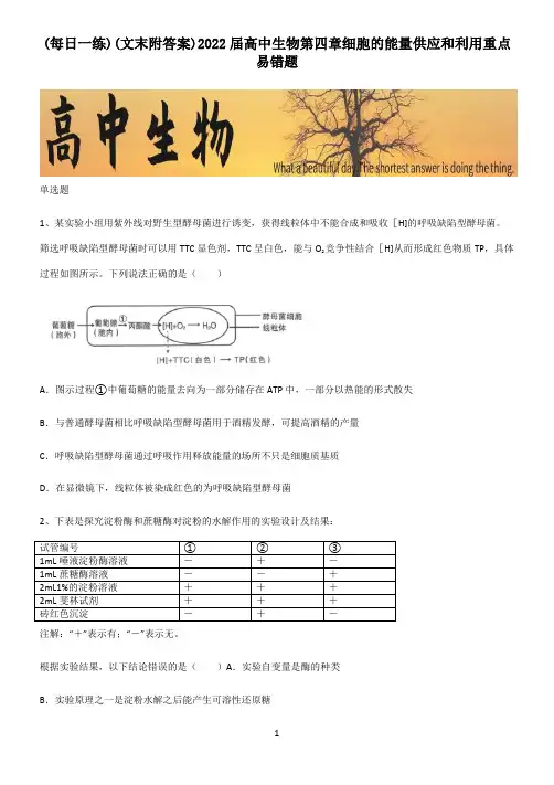 (文末附答案)2022届高中生物第四章细胞的能量供应和利用重点易错题