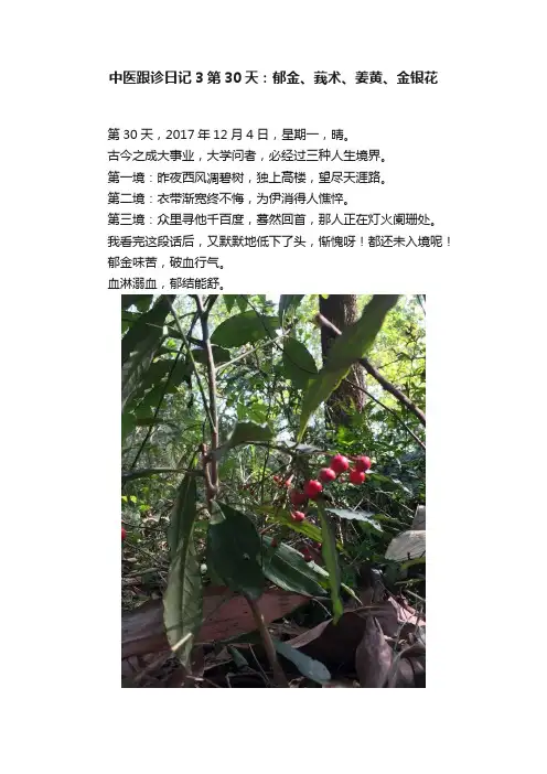 中医跟诊日记3第30天：郁金、莪术、姜黄、金银花