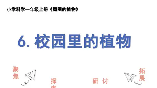 【2024新教材】教科版一年级上册 1.6 校园里的植物 课件