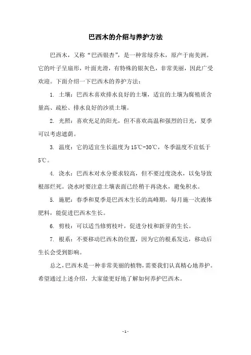 巴西木的介绍与养护方法