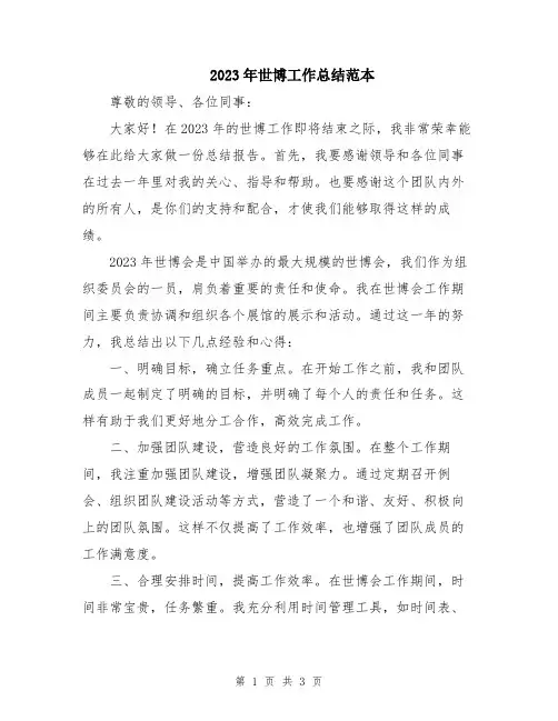 2023年世博工作总结范本