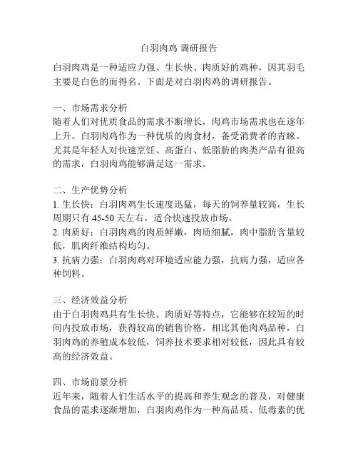 白羽肉鸡 调研报告