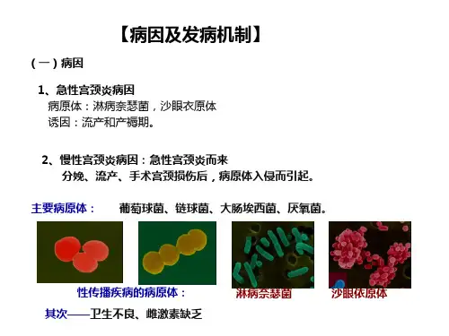 子宫颈炎病人护理