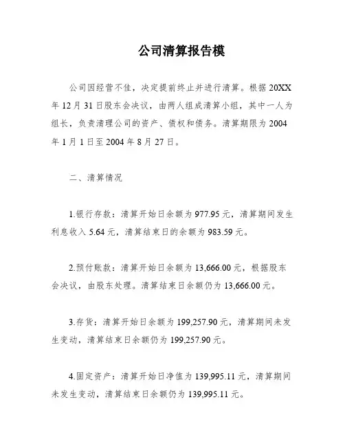 公司清算报告模