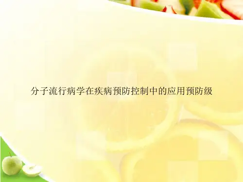 分子流行病学在疾病预防控制中的应用预防级ppt文档