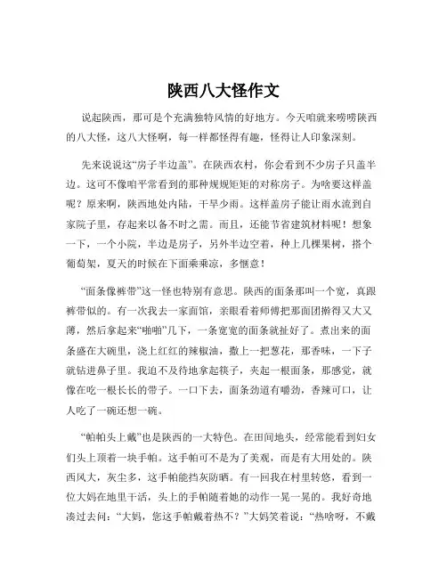 陕西八大怪作文