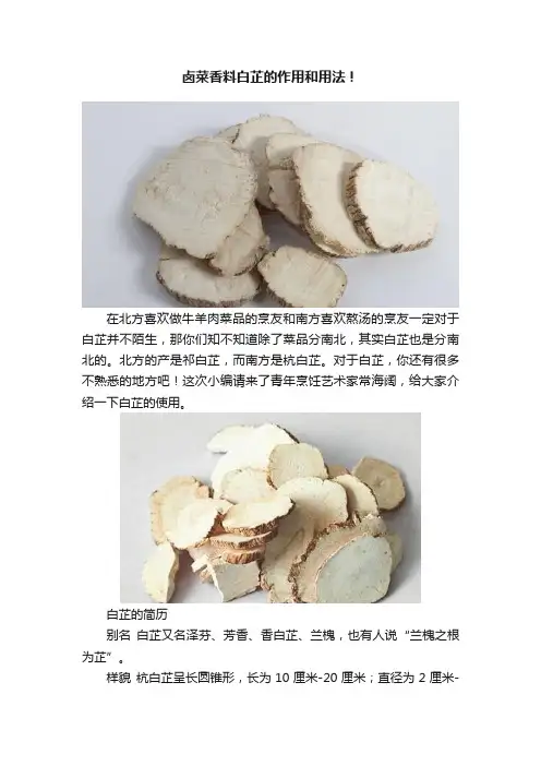 卤菜香料白芷的作用和用法！