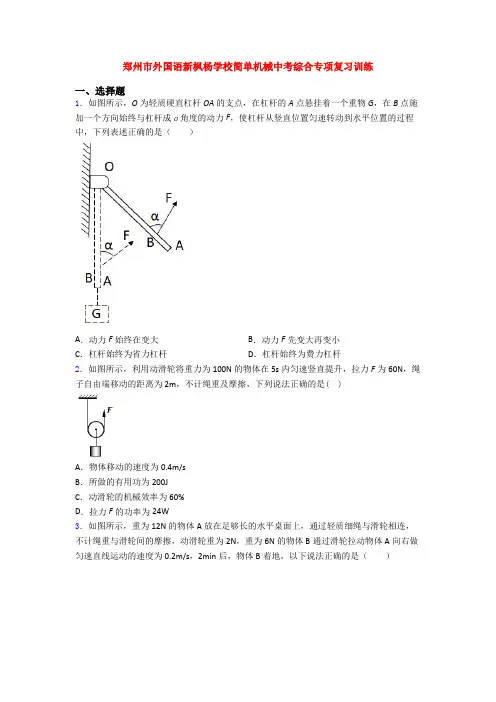 郑州市外国语新枫杨学校简单机械中考综合专项复习训练