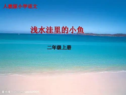 人教版小学二年级下册语文：28 浅水洼里的小鱼 