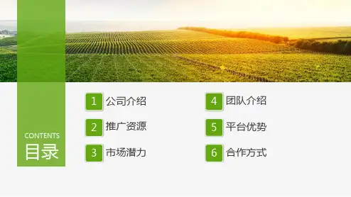 生态农业旅游项目互联网电商APP合作推广运营方案教学课件PPT模板