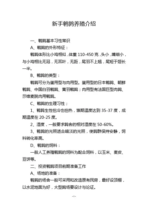 新手鹌鹑养殖介绍