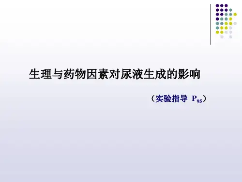生理与药物因素对尿液生成的影响