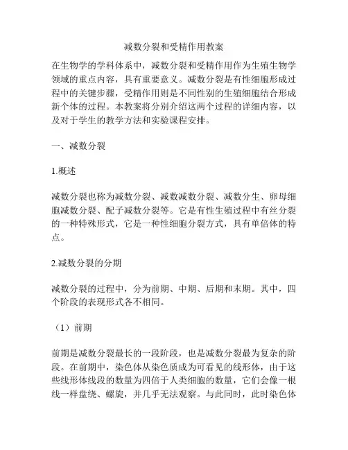 减数分裂和受精作用教案