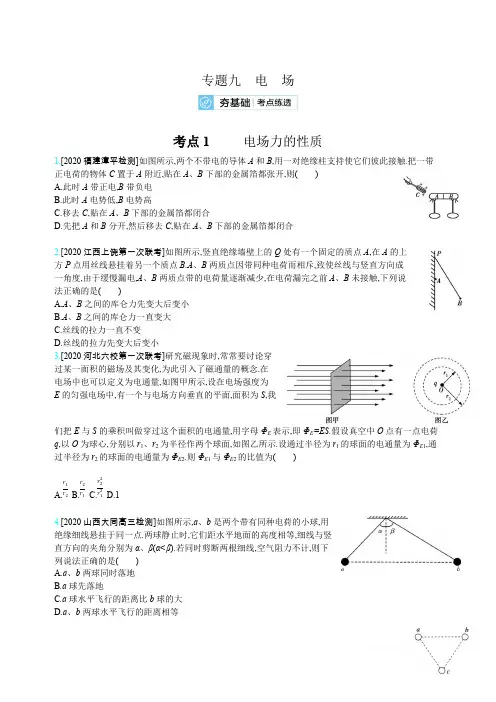 2021届新高考版高考物理一轮复习训练：专题九 考点1 电场力的性质