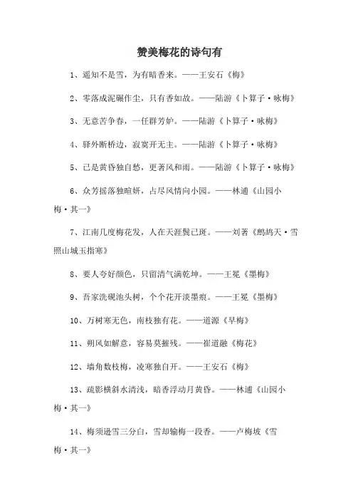 赞美梅花的诗句有