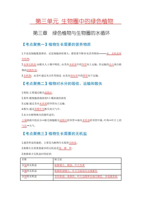 考点05  绿色植物的三大生理作用 中考生物 知识点复习(人教版)