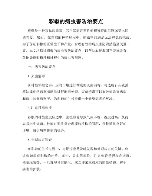 彩椒的病虫害防治要点