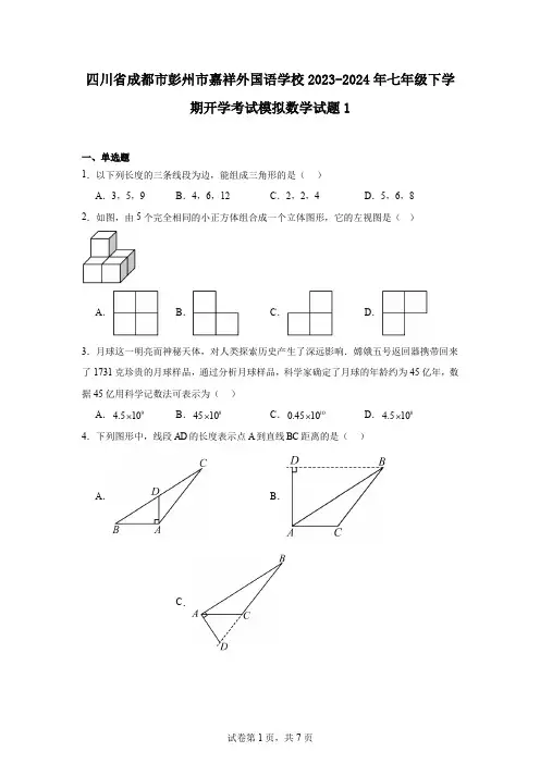 四川省成都市彭州市嘉祥外国语学校2023-2024年七年级下学期开学考试模拟数学试题1