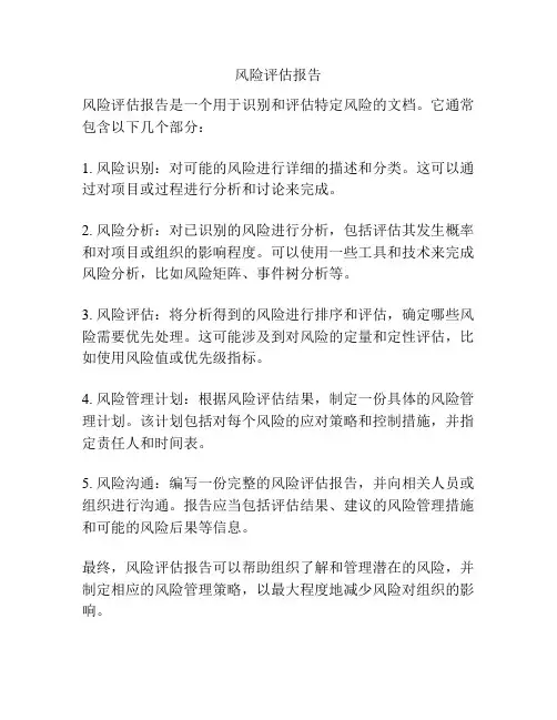 风险评估报告