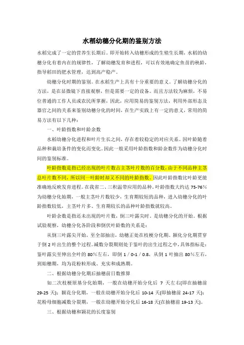 水稻幼穗分化期的鉴别方法