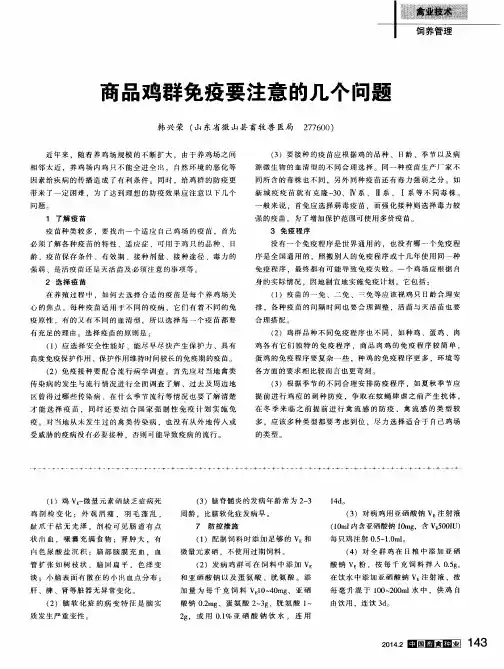 商品鸡群免疫要注意的几个问题