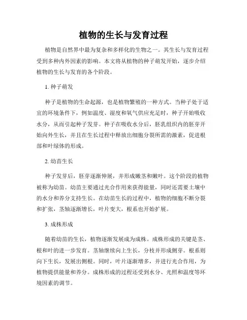 植物的生长与发育过程