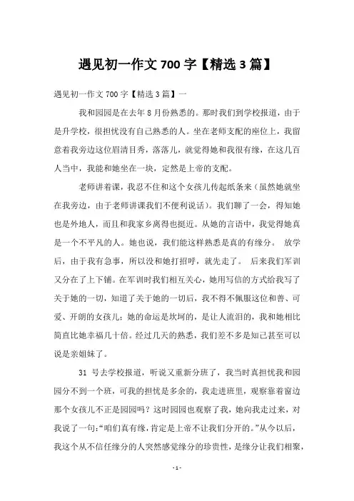 遇见初一作文700字【3篇】