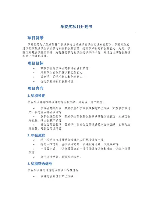 学院奖项目计划书