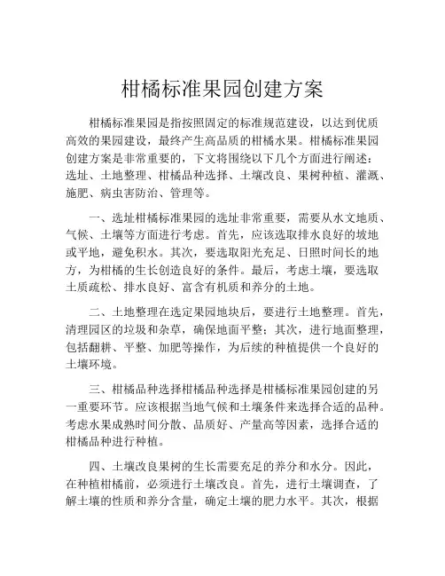 柑橘标准果园创建方案