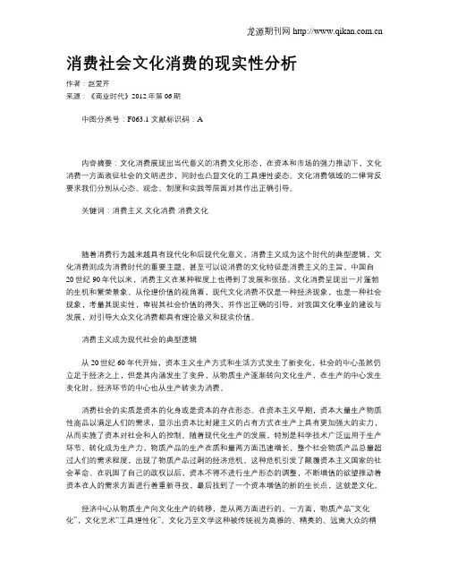 消费社会文化消费的现实性分析