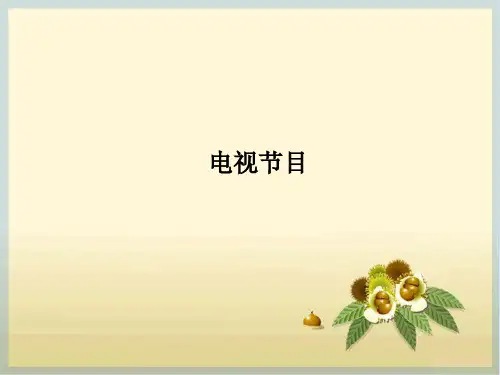 电视节目_精品文档