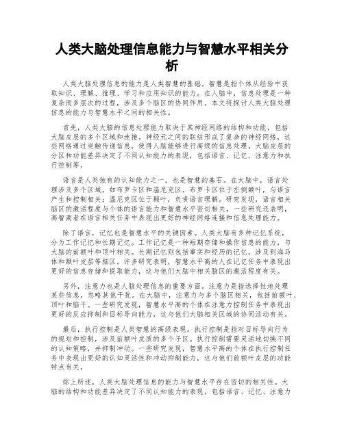 人类大脑处理信息能力与智慧水平相关分析