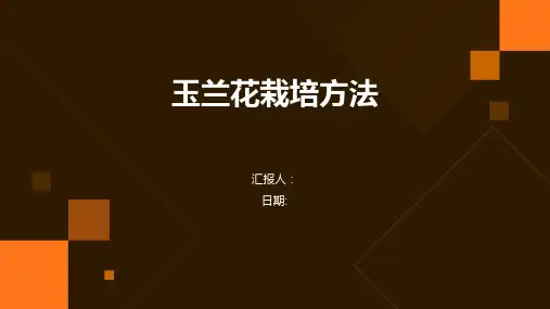 玉兰花栽培方法