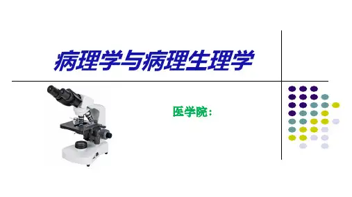 充血、淤血(病理学与病理生理学)说课课件
