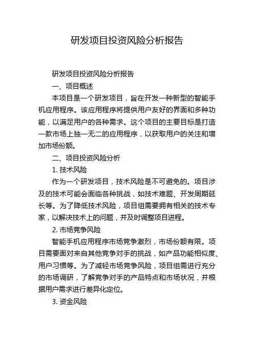 研发项目投资风险分析报告