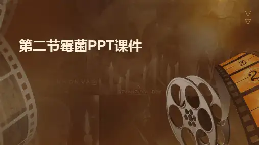 第二节霉菌PPT课件