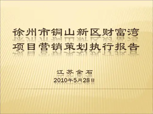 财富湾项目营销策划执行报告
