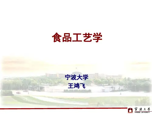 第一章  食品工艺学-绪论汇总