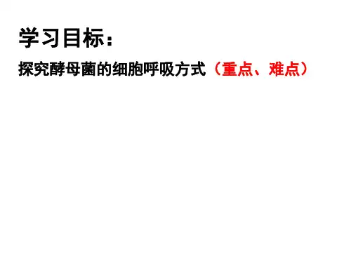 酵母菌的呼吸方式探究.ppt